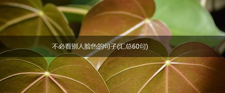 不必看别人脸色的句子(汇总60句),第1张