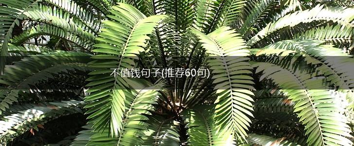 不值钱句子(推荐60句),第1张