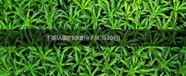 不能认输的动漫句子(汇总80句),第1张
