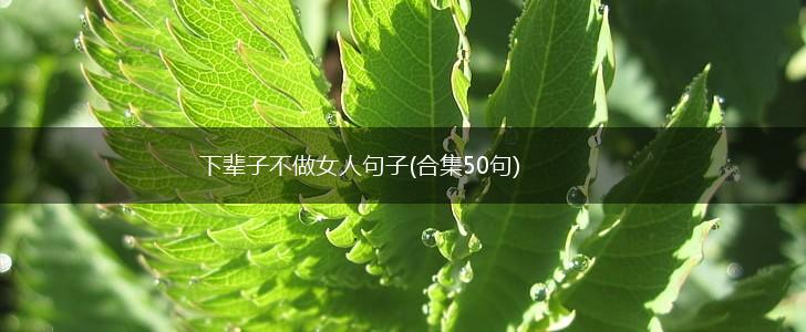 下辈子不做女人句子(合集50句),第1张