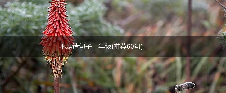不是造句子一年级(推荐60句),第1张