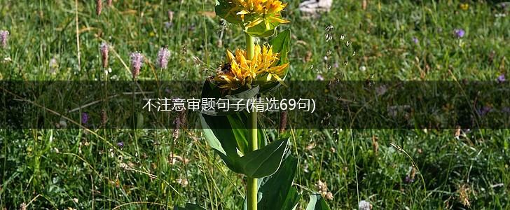 不注意审题句子(精选69句),第1张