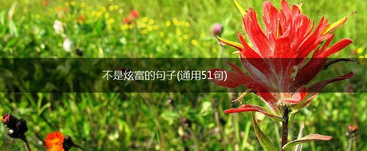 不是炫富的句子(通用51句),第1张