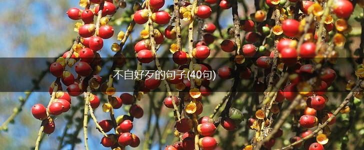 不自好歹的句子(40句),第1张