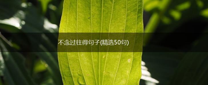 不念过往得句子(精选50句),第1张