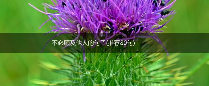 不必顾及他人的句子(推荐80句),第1张