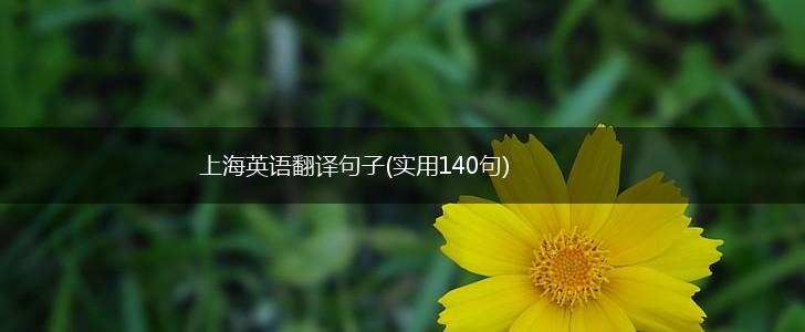 上海英语翻译句子(实用140句),第1张
