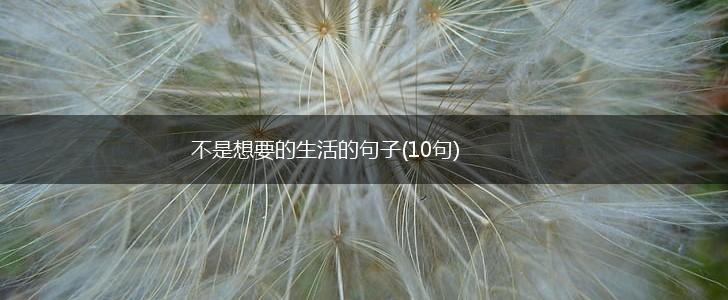 不是想要的生活的句子(10句),第1张