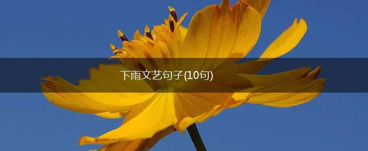 下雨文艺句子(10句),第1张