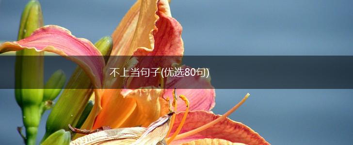 不上当句子(优选80句),第1张