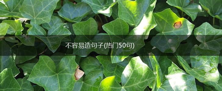 不容易造句子(热门50句),第1张