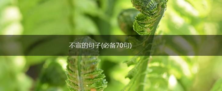 不宣的句子(必备70句),第1张
