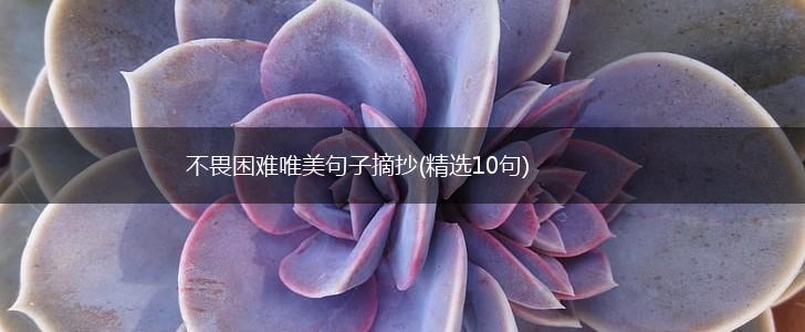 不畏困难唯美句子摘抄(精选10句),第1张