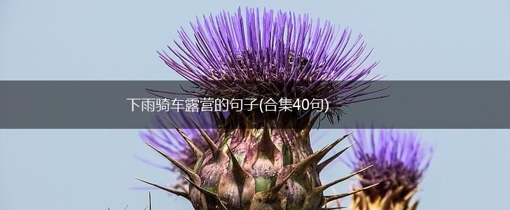 下雨骑车露营的句子(合集40句),第1张