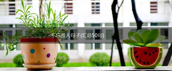 不忘贵人句子(汇总50句),第1张
