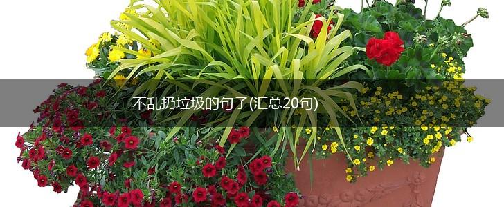 不乱扔垃圾的句子(汇总20句),第1张