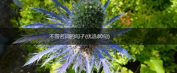 不带名词的句子(优选80句),第1张