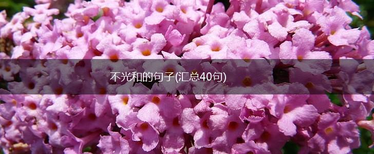 不光和的句子(汇总40句),第1张