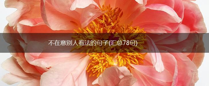 不在意别人看法的句子(汇总78句),第1张