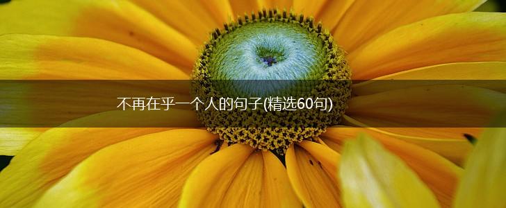 不再在乎一个人的句子(精选60句),第1张