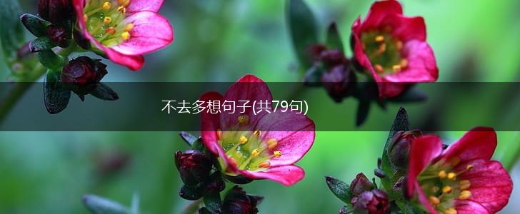 不去多想句子(共79句),第1张