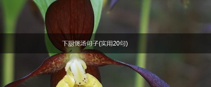 下厨煲汤句子(实用20句),第1张