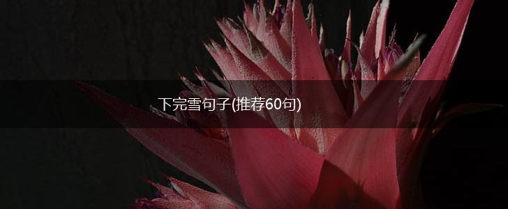 下完雪句子(推荐60句),第1张