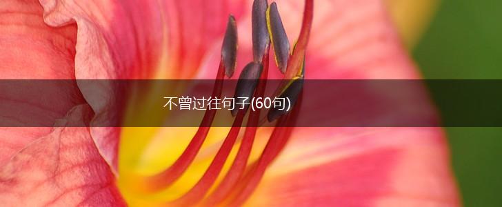 不曾过往句子(60句),第1张