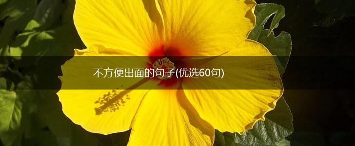 不方便出面的句子(优选60句),第1张