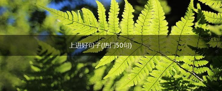 上进好句子(热门50句),第1张