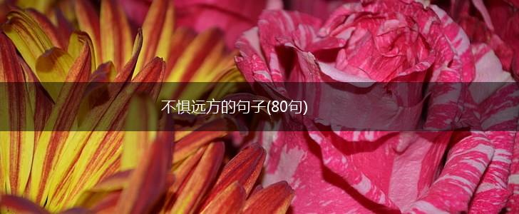 不惧远方的句子(80句),第1张