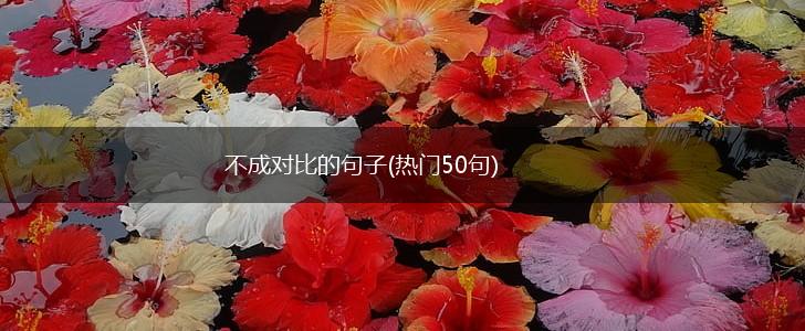 不成对比的句子(热门50句),第1张