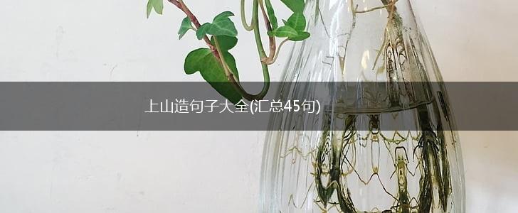 上山造句子大全(汇总45句),第1张