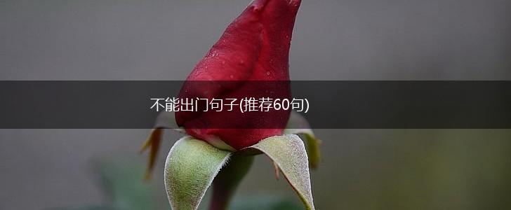 不能出门句子(推荐60句),第1张