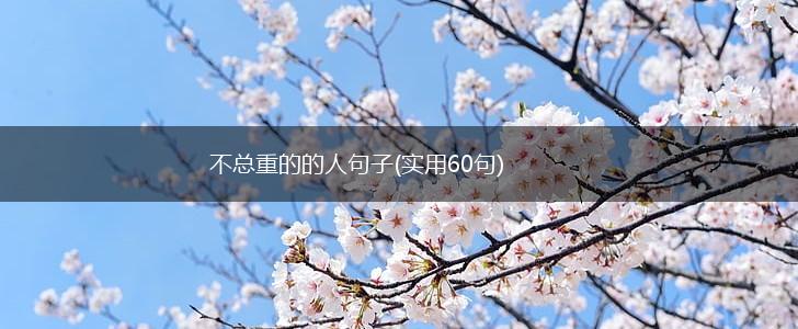 不总重的的人句子(实用60句),第1张
