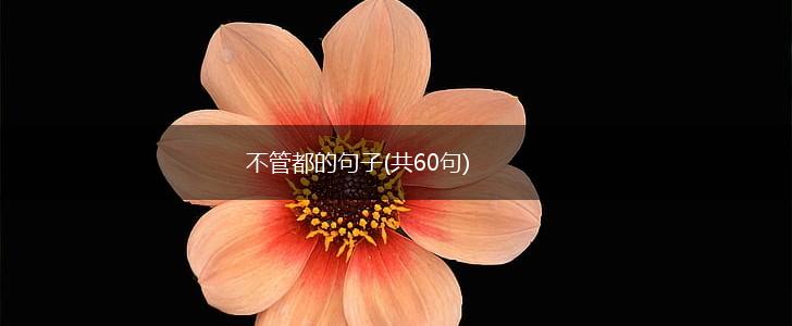 不管都的句子(共60句),第1张