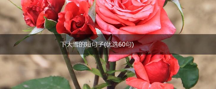 下大雪的短句子(优选60句),第1张