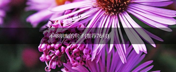 不够朋友的句子(推荐76句),第1张