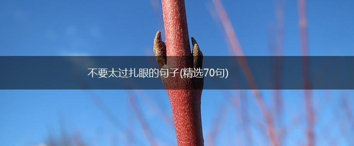 不要太过扎眼的句子(精选70句),第1张