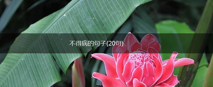不得病的句子(20句),第1张