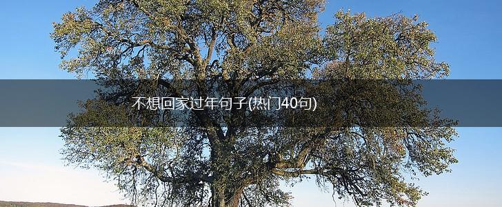 不想回家过年句子(热门40句),第1张 不想回家过年句子(热门40句),第1张