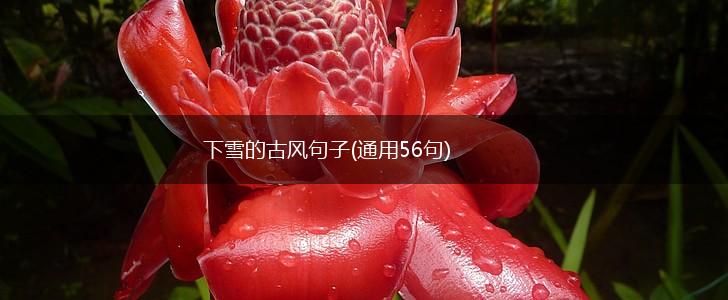 下雪的古风句子(通用56句),第1张