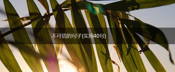 不可信的句子(实用40句),第1张