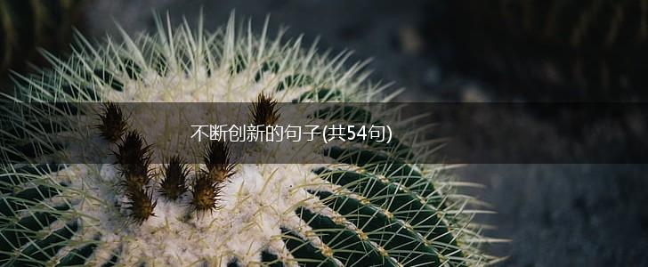 不断创新的句子(共54句),第1张