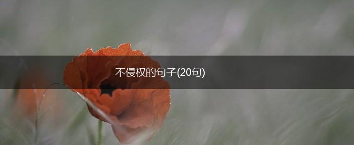 不侵权的句子(20句),第1张
