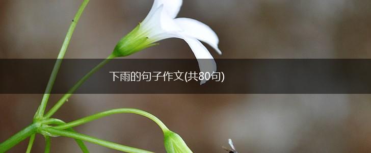 下雨的句子作文(共80句),第1张