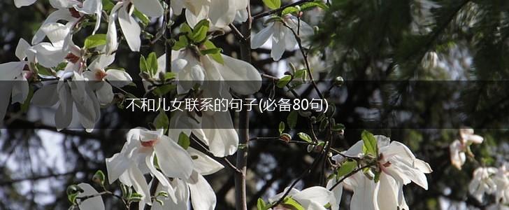 不和儿女联系的句子(必备80句),第1张