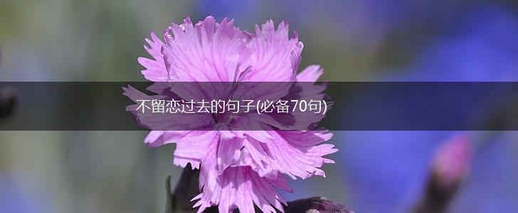 不留恋过去的句子(必备70句),第1张