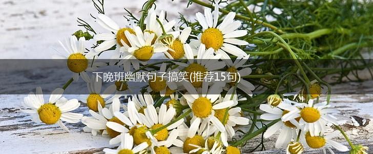 下晚班幽默句子搞笑(推荐15句),第1张