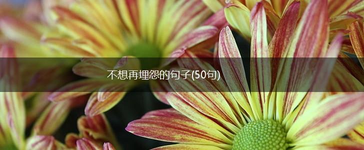 不想再埋怨的句子(50句),第1张